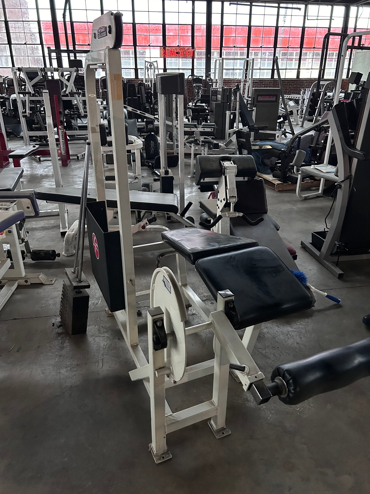 Pre Owned Life Fitness Lying Leg Curl ExerciseUnlimited