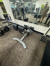 Pre-Owned Life Fitness Signature Series Back Extension
