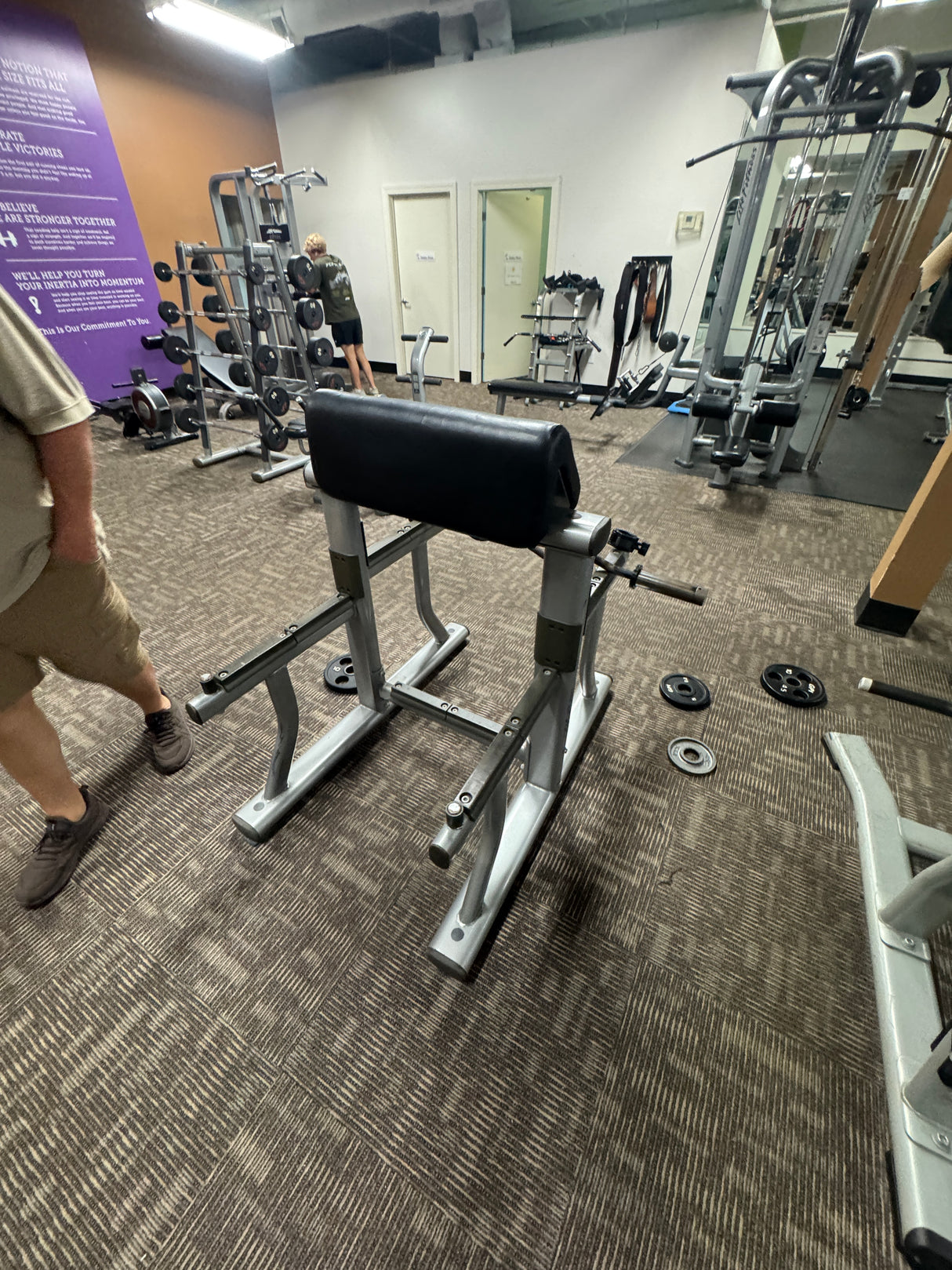 Pre-Owned Life Fitness Standing Arm Curl