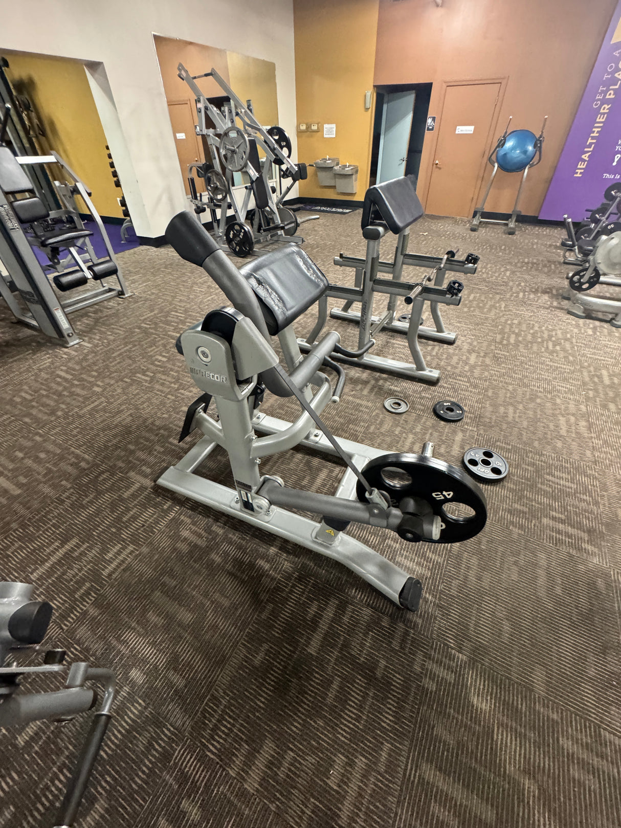Pre-Owned Precor Discovery Series Plate Loaded Bicep Curl