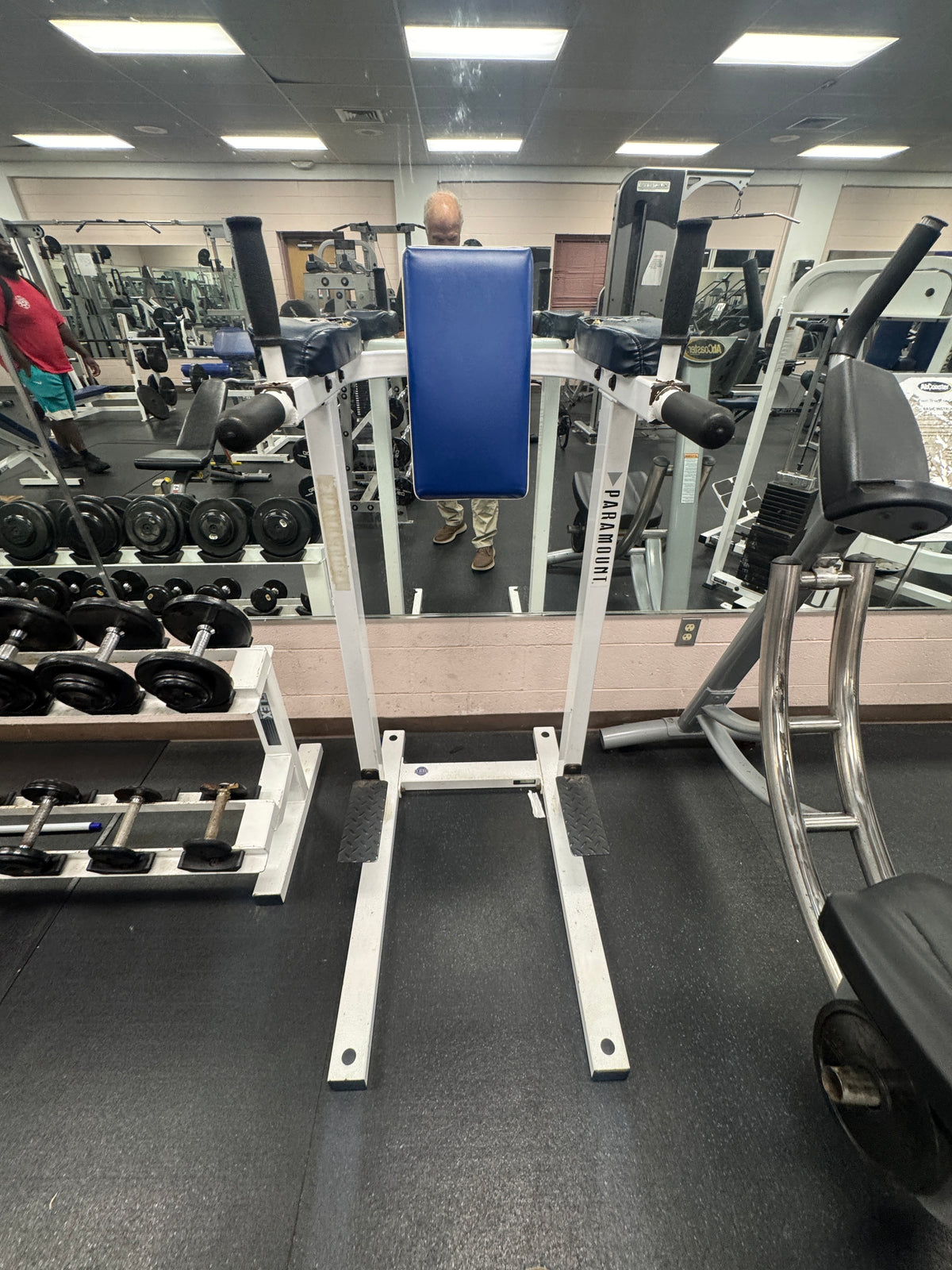 Pre-Owned Paramount Vertical Knee Raise / Dip Station