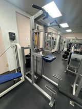 Pre-Owned Legend Fitness Chin/Dip Assist