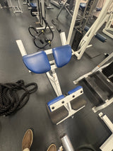 Pre-Owned Flex Fitness Lower Back Extension