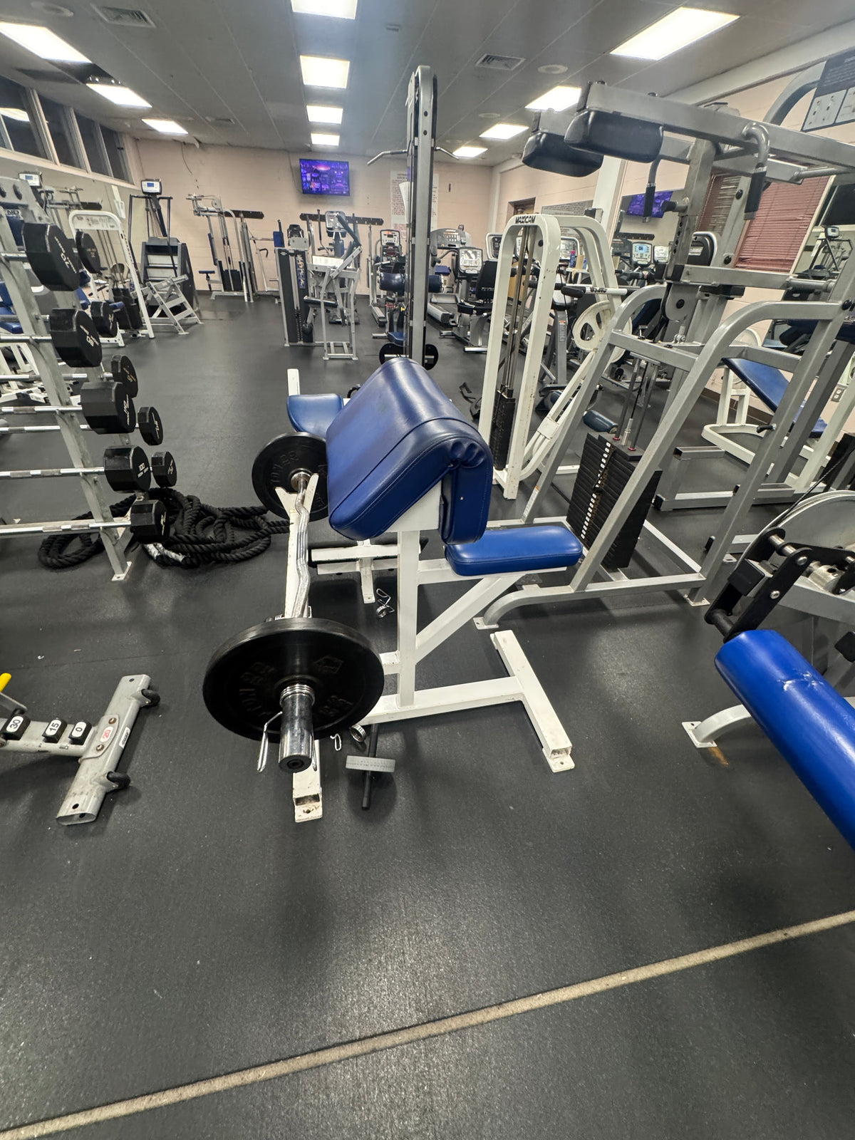 Pre-Owned Flex Fitness Bicep Curl