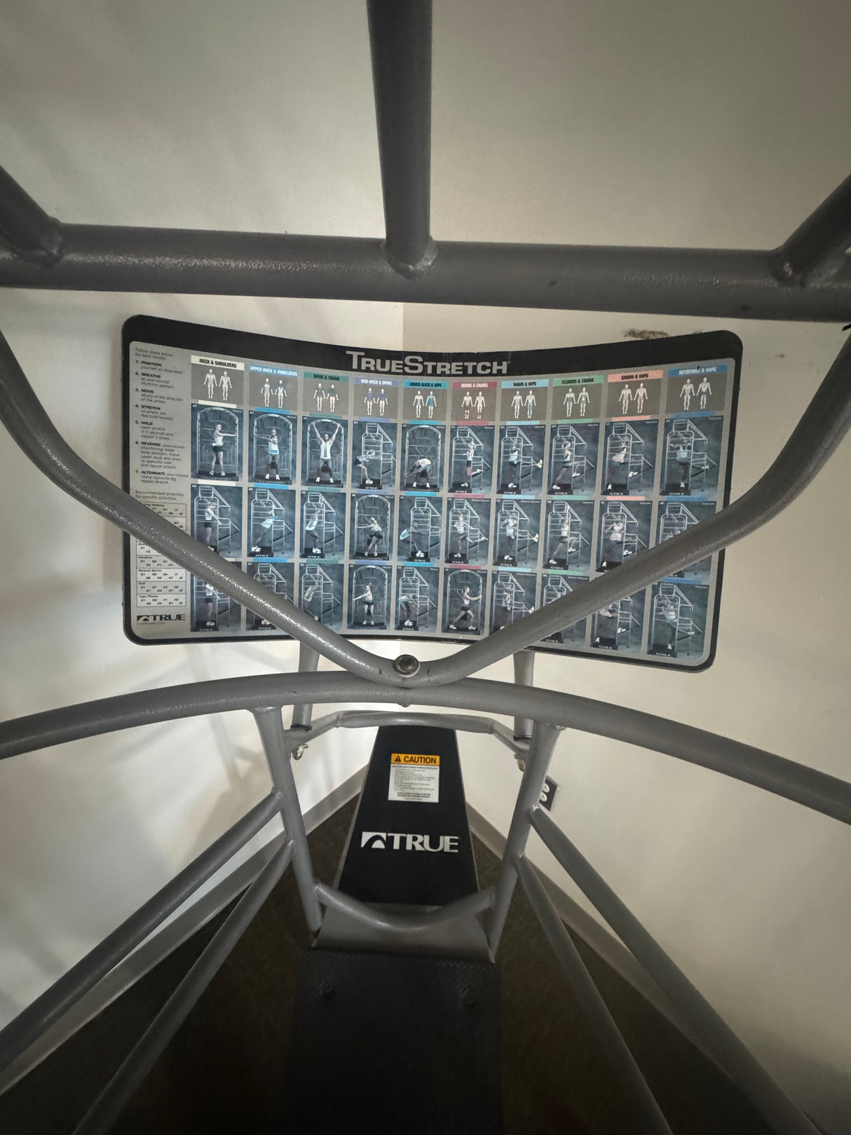 Pre-Owned True Fitness Stretch Cage
