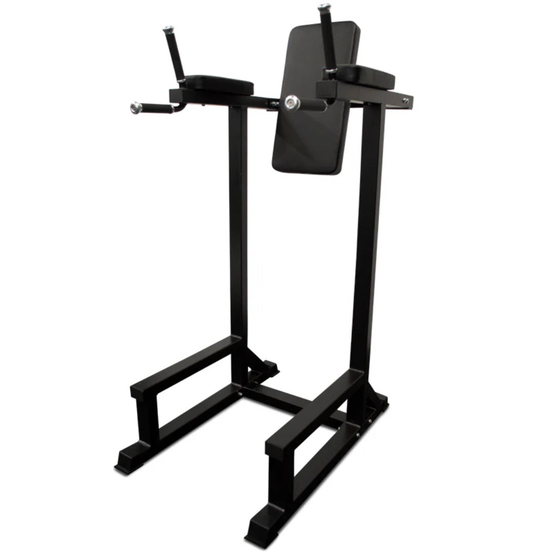 Exercise Unlimited Vertical Knee Raise w/ Dip Station