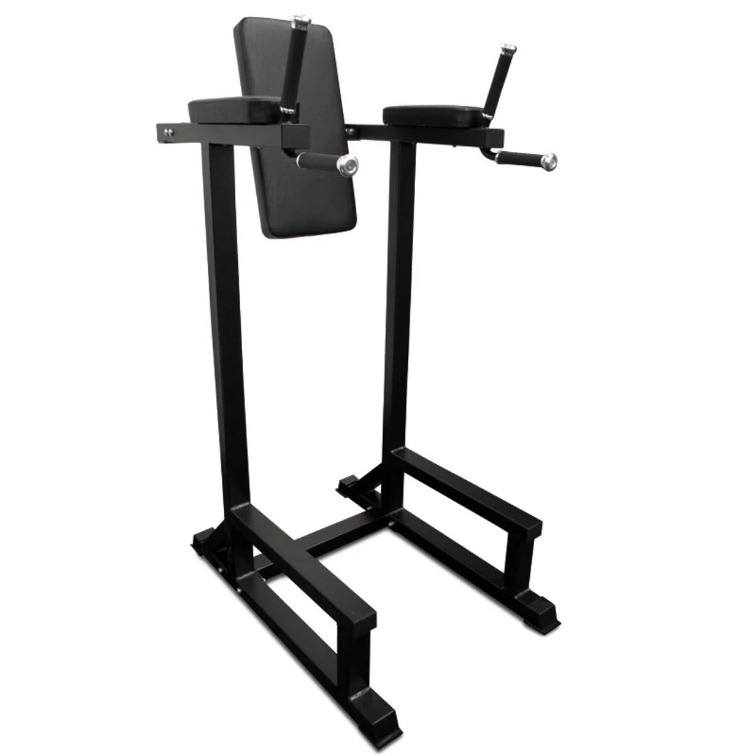 Exercise Unlimited Vertical Knee Raise w/ Dip Station