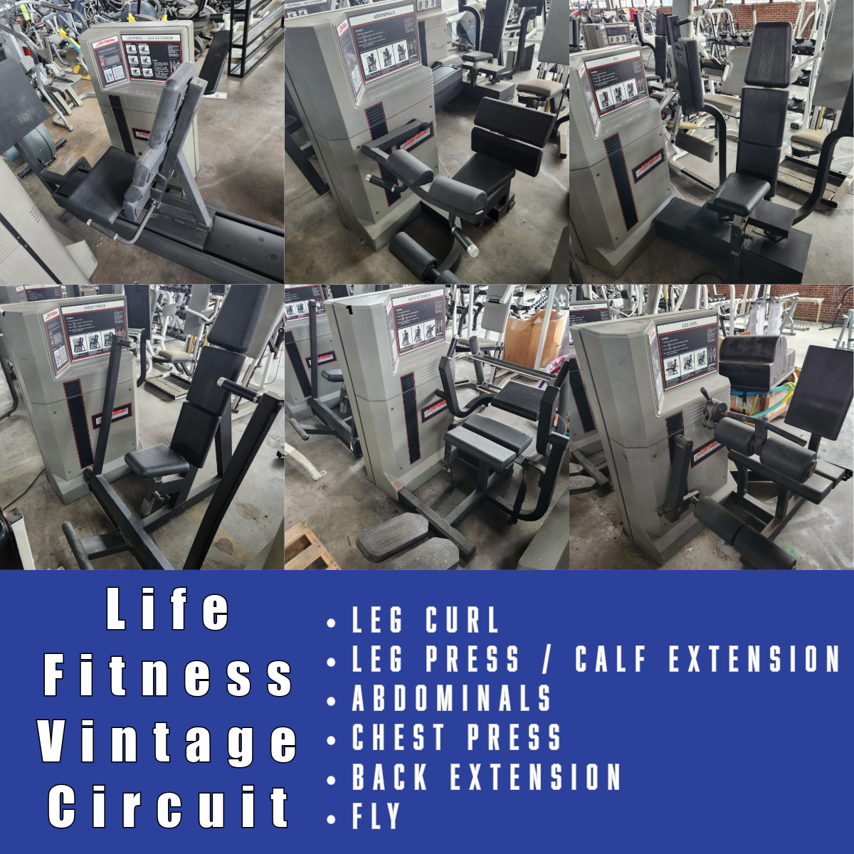 Vintage Life Fitness Computerized Circuit