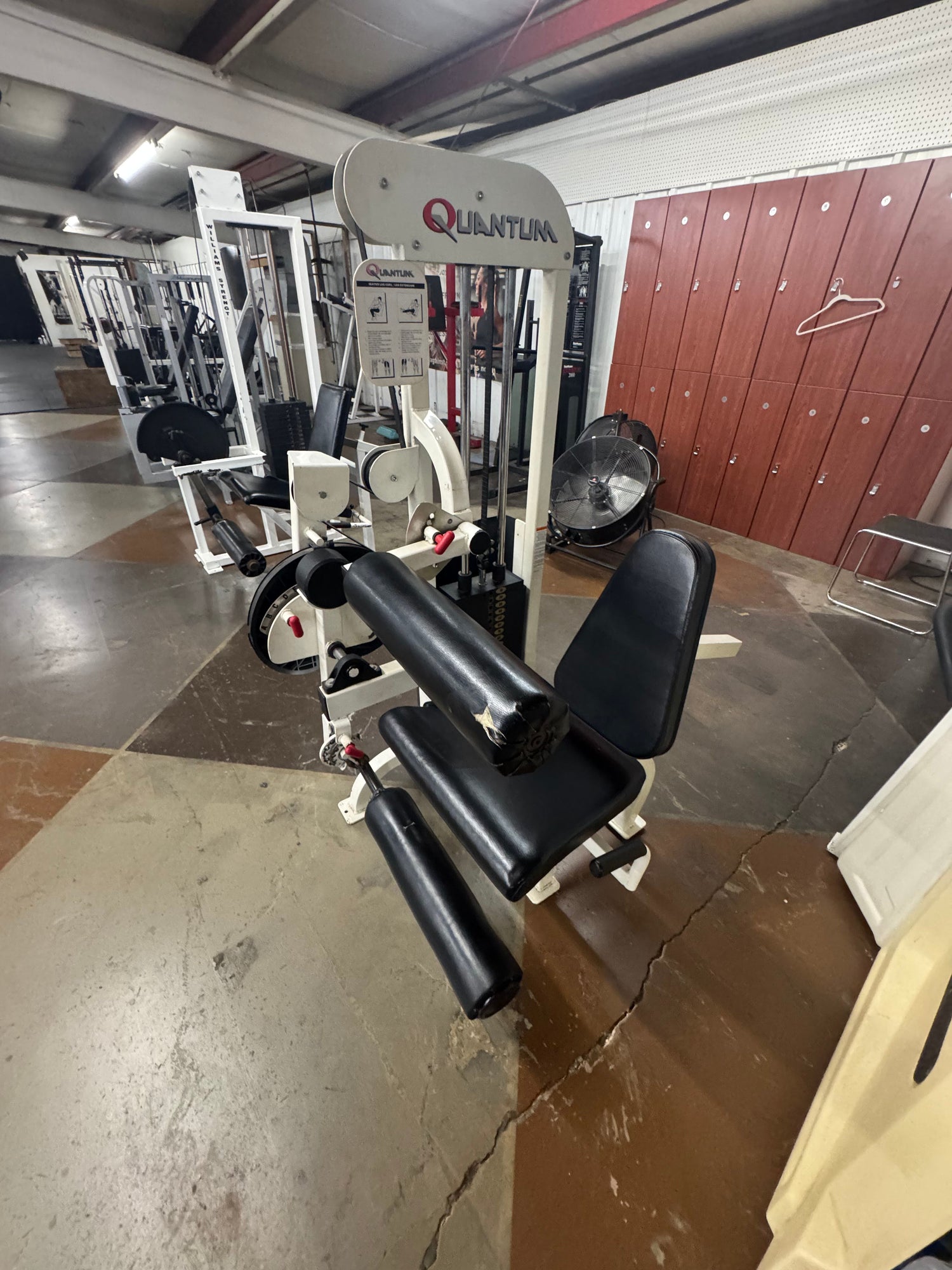 Pre-Owned Quantum Leg Curl / Leg Extension – Exercise Unlimited