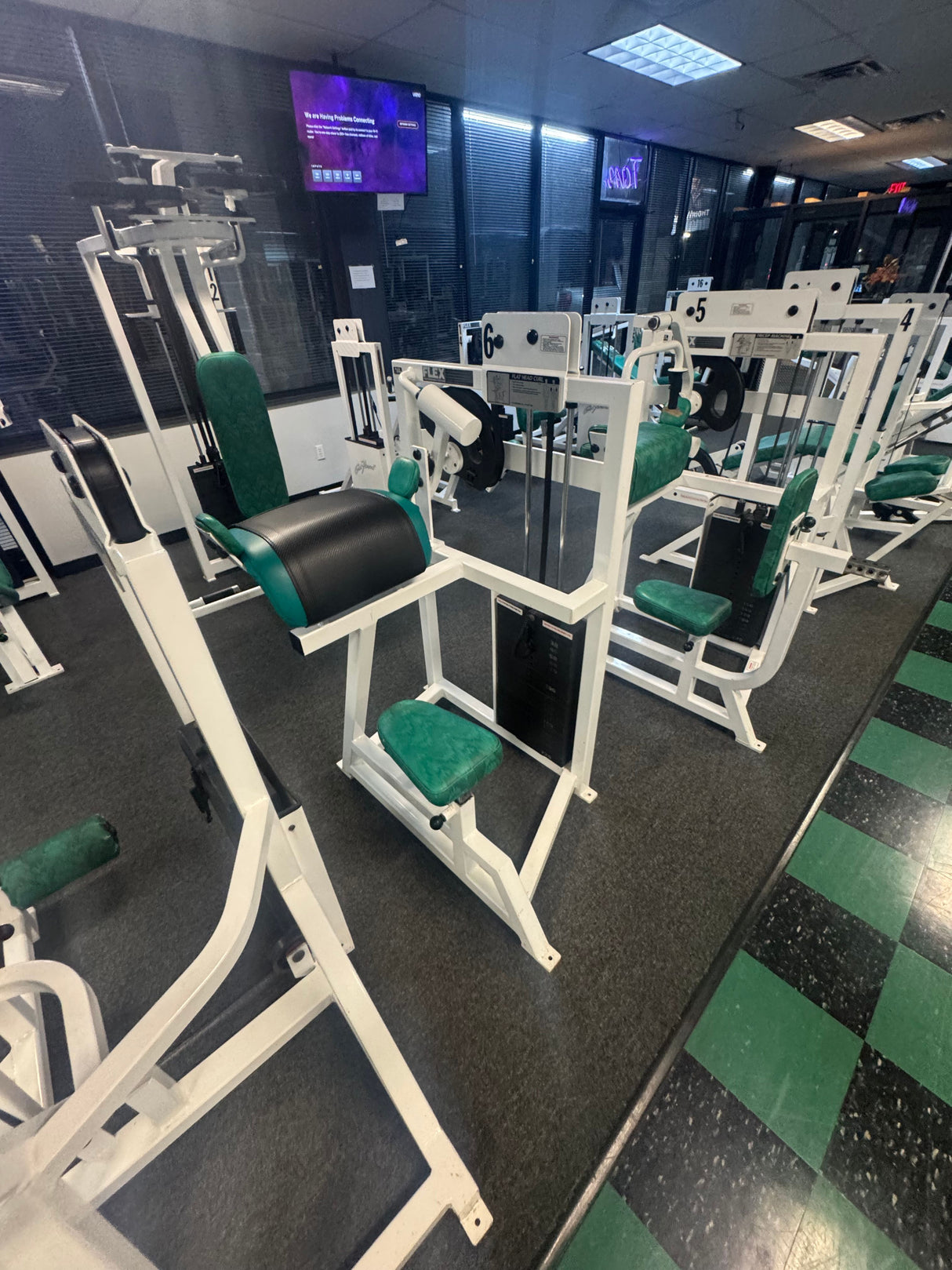 Pre-Owned Flex Fitness Flat Head Curl